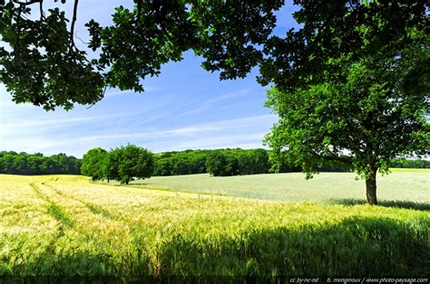 La campagne printemps